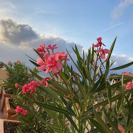 La Terrazza Di Re * Scarlino
